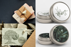 Olive Vector set Product Image 8