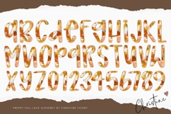 Preppy Brush Stroke Fall Lace PNG Alphabet |Sublimation Font Product Image 3
