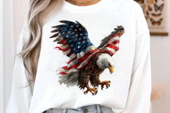 4 th of July Banner Eagle Clipart Product Image 2