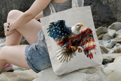 4 th of July Banner Eagle Clipart Product Image 3