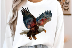4 th of July Firework Eagle Product Image 2