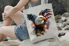 4 th of July Firework Eagle Product Image 3