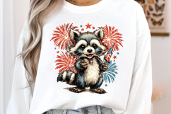 4 th of July Firework Raccoon Clipart Product Image 2