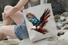 4 th of July Patriotic Eagle Clipart Product Image 3