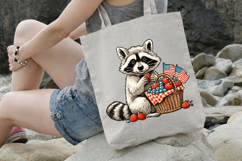 4 th of July Picnic Raccoon Clipart Product Image 3