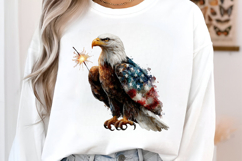 4 th of July Sparkler Eagle Clipart Product Image 2