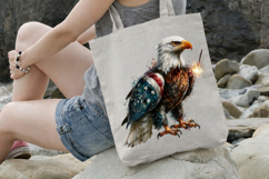 4 th of July Sparkler Eagle Clipart Product Image 3