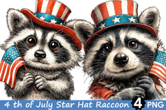 4 th of July Star Hat Raccoon Clipart Product Image 1