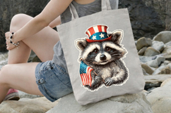 4 th of July Star Hat Raccoon Clipart Product Image 3