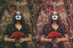 30 Vampire Vision Video LUTs Product Image 4