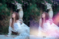 60 Vintage Radiance Overlays Product Image 10