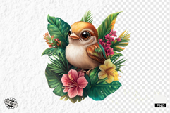 Tropical Birds Clipart - Summer Birds PNG Product Image 1