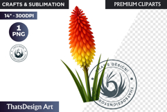 Flower Clipart PNG, Botanical Illustration Floral graphic Product Image 1