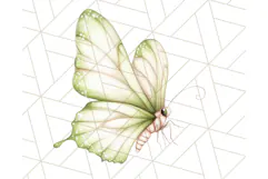 Pastel Fairies and Butterflies PNG, Spring Fantasy Clipart Product Image 4