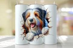 Bearded Collie Peeking from the Cracked wall Tumbler Wrap Product Image 1
