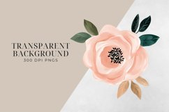 Dark Blue &amp; Blush Pink Flowers Clipart PNG. Product Image 2