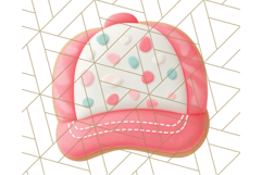 Baseball Cap Cookie Clipart PNG, Fun Hats in Cute Styles Png Product Image 4