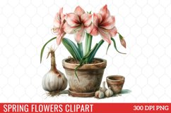 Spring Flowers Clipart Product Image 1