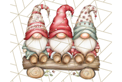 Scandinavian Christmas Gnomes Clipart PNG, Cute Gnome Png Product Image 4