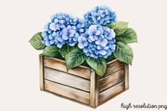 Spring Neutral Blue Clipart PNG Product Image 1