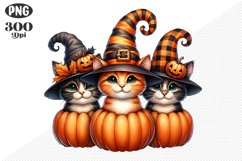 Halloween Cat And Pumpkin Sublimation - Clipart PNG Design Product Image 1