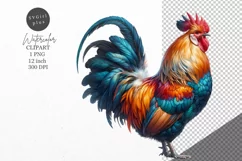 Rooster clipart, Farm animals clipart, Rooster sublimation Product Image 1