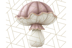 Mushroom Clipart, Realistic Forest Mushrooms PNG Product Image 4