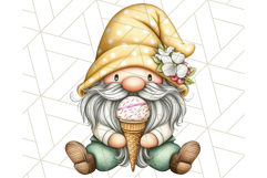 Summer Garden Gnomes Clipart PNG, Summer Country Gnomes Png Product Image 4