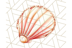 Natural Seashell Clipart PNG, Summer Nautical Beach Shell Product Image 4