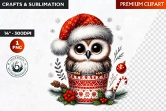 Christmas animal Clipart, Baby Owl sublimation, Owl PNG Product Image 1