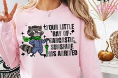 Your little ray of sarcastic sunshine Png, Sarcastic Png Product Image 5