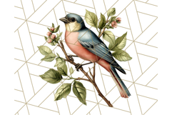 Vintage Song Bird Clipart PNG, Botanical Bird Art Clip Art Product Image 4