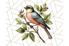 Vintage Song Bird Clipart PNG, Botanical Bird Art Clip Art Product Image 4