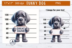 Funny dog sublimation | 3d dog png | Dog bundle Product Image 17