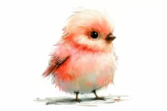 Cute Finch Bird Baby Watercolor Handmade illustration Product Image 3