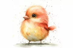Cute Finch Bird Baby Watercolor Handmade illustration Product Image 3