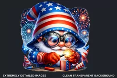 4th of July clipart, patriotic gnome, gnome png, fireworks Product Image 2