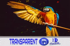 400 PARROTS, SPARROW TRANSPARENT PNG FILE, PHOTOSHOP OVERLAY Product Image 1