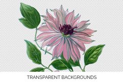 Florals - Vintage Clematis Product Image 3