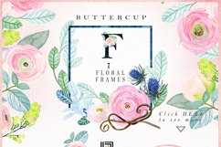 Buttercups. Ranunculus soft pink. Product Image 2