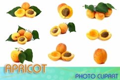 Apricot photo clipart Product Image 1