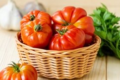 Ripe red tomatoes in basket Product Image 1