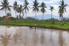 a male farmer plowing the fields using a tractor Product Image 1