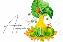 Watercolor clipart autumn.Pumpkin sublimation. PNG JPG Product Image 1