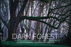 Dark Forest Lr Presets Product Image 1