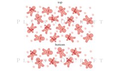 Bundle 6 Christmas 40oz Tumbler Sublimation Wrap SVG Product Image 7