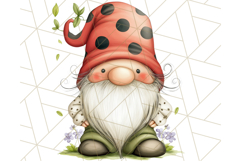 Summer Garden Gnomes Clipart PNG, Summer Country Gnomes Png Product Image 5