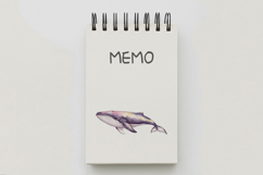 Cute Humpback Whale Marine Mammal PNG Summer Product Image 5
