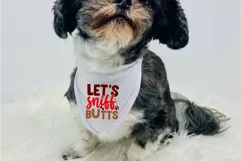 Let's Sniff Butts SVG, Dog Bandana SVG Design Product Image 3
