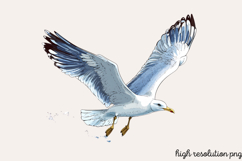Watercolor Coastal Clipart PNG Product Image 1